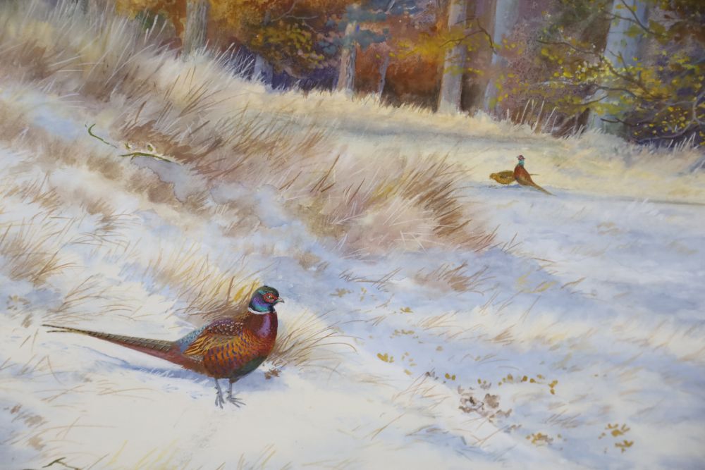 Philip Rickman (1891-1982), watercolour, Pheasant in winter, signed and dated 1975, 28 x 38cm